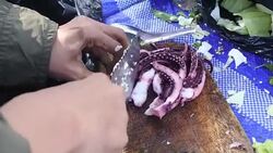 Squid Basil on pan Stock Footage