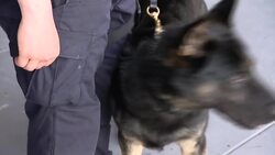 Nassau police hold graduation ceremony for trained dogs and horses News Clip