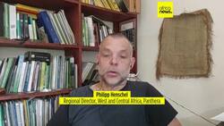 Elephant spotted in Senegalese park gives hope to conservationists News Clip