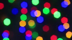 People shopping for Christmas decorations in shop News Clip