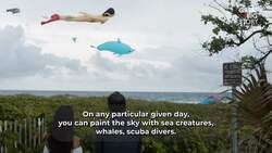 The Man Teaching Math Lessons in the Sky Instructional Video