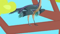 I WONDER - Did The Archaeopteryx Have Any Special Features? Instructional Video