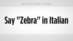 How to Say "Zebra" in Italian Instructional Video