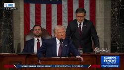 Rep. Al Green removed from chamber after disrupting Trump speech News Clip