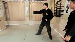 How to Do the Sui No Kata Technique from Sanchin No Kata Instructional Video