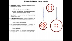 Hyperplasia, Sarcoplasmic Hypertrophy, & Myofibrillar Hypertrophy Instructional Video