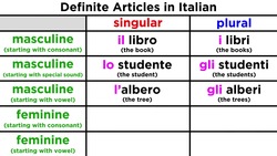 The Definite Article and its Use in Italian Instructional Video