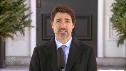 Trudeau faces questions about shortages in personal protective equipment News Clip
