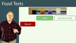 Food Tests: Standard Tests for Starch, Reducing Sugars, Proteins, and Lipids in Different Foods Instructional Video