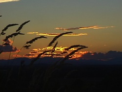 Verano: recapitulando Instructional Video