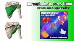 Infraspinatus Tears | Special Tests | Rationale & Interpretation Instructional Video