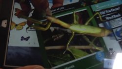 iDigBio delivers digital collections of natural specimens Instructional Video