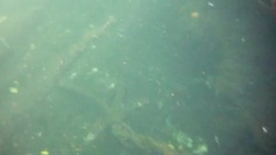 Underwater at Cenote in the Yucatán Peninsula, Mexico Stock Footage