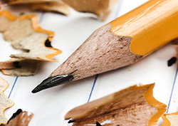 What are plants used for? Instructional Video