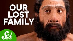 6 Species Unlike Anything Else | Evolutionary Loners Instructional Video