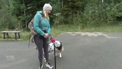 Safety urged as season change brings increase in bear activity Instructional Video