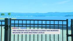 Two Hudson Valley beaches closed due to high bacteria levels News Clip