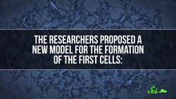 How Cells Got Their Membranes (Maybe) | SciShow News Instructional Video