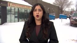 3 immigrant business owners in Sask. say Canadian dream is still alive News Clip