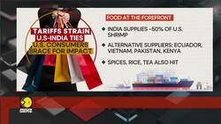 Trump tariffs: $87 billion in US imports from India at risk News Clip