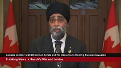 Feds pledge more aid, resist calls to waive visa requirements for Ukrainians News Clip