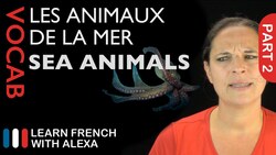 Sea Animals in French Part 2 (basic French vocabulary from Learn French With Alexa) Instructional Video