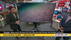 New footage from deepsea expedition reveals never-before-seen creatures | Hanomansing Tonight News Clip