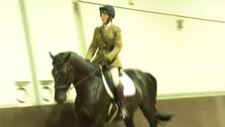 Horse from the Household Cavalry being trained News Clip