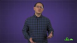 Where Are All the Tiny Dinosaurs Instructional Video