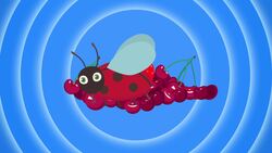 Red Song Instructional Video