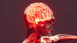 What You Should Know Before You Eat Tilapia Again Instructional Video