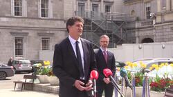 Ireland's Green Party leader says 7% emissions cut is a red line for joining coalition News Clip