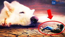 Unlock the Matrix: A Gateway to Epic Adventures! - Science of Lucid Dreams Exposed (eng sub) Instructional Video