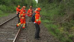 Paternal grandmother of missing N.S. kids speaks out News Clip