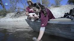 4 Awesome Discoveries You Probably Didn’t Hear About This Week Episode 19 Instructional Video