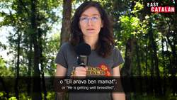 Easy Catalan 14 - Catalan Idioms Compared_ To Be Drunk - with subs Instructional Video