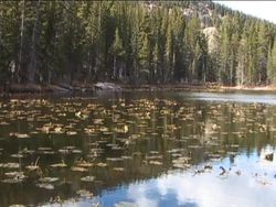 Exploring Freshwater Biomes: Video Assessment Instructional Video