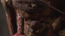 VOICED : Tintin y el enigma de la momia amerindia desata la polemica en Belgica News Clip