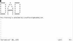Vim Masterclass - Editing Multiple Files and Vim Buffers Instructional Video