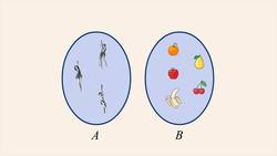 Algebra 13 - Domain and Range of Binary Relations Instructional Video