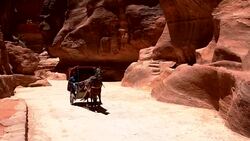 Petra - horse cart in the narrow passage (Siq) that leads to Petra, Jordan Stock Footage