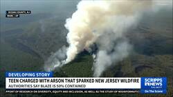 Man charged with arson in New Jersey wildfire News Clip