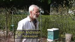 Beekeeping Basics: 3 Types of Beehives - Mobile Instructional Video