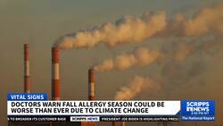 Doctors warn fall allergy season could be worse due to climate change News Clip