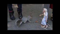Meet Doris, The Queen Of Washington Square Park - Smile With Shenaz Instructional Video