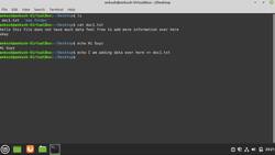 Linux Operating System: A Complete Linux Guide for Beginners - Printing Contents of Files Instructional Video