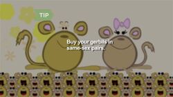 How to Care for a Pet Gerbil Instructional Video