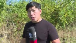 Spotted lanternfly sighting in Windsor-Essex causes worry Instructional Video