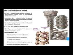 Uncovertebral Joints | Function and Dysfunction Instructional Video
