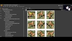 Fundamentals of Neural Networks - Lab 4 - Transfer Learning Instructional Video